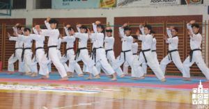 2019 bjelovarinfo taekwondo klub 74