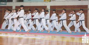 2019 bjelovarinfo taekwondo klub 75 1