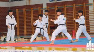 2019 bjelovarinfo taekwondo klub 89
