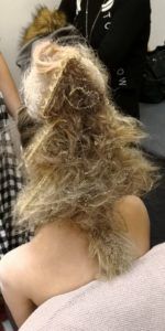 viber slika 2019 12 09 22 10 15