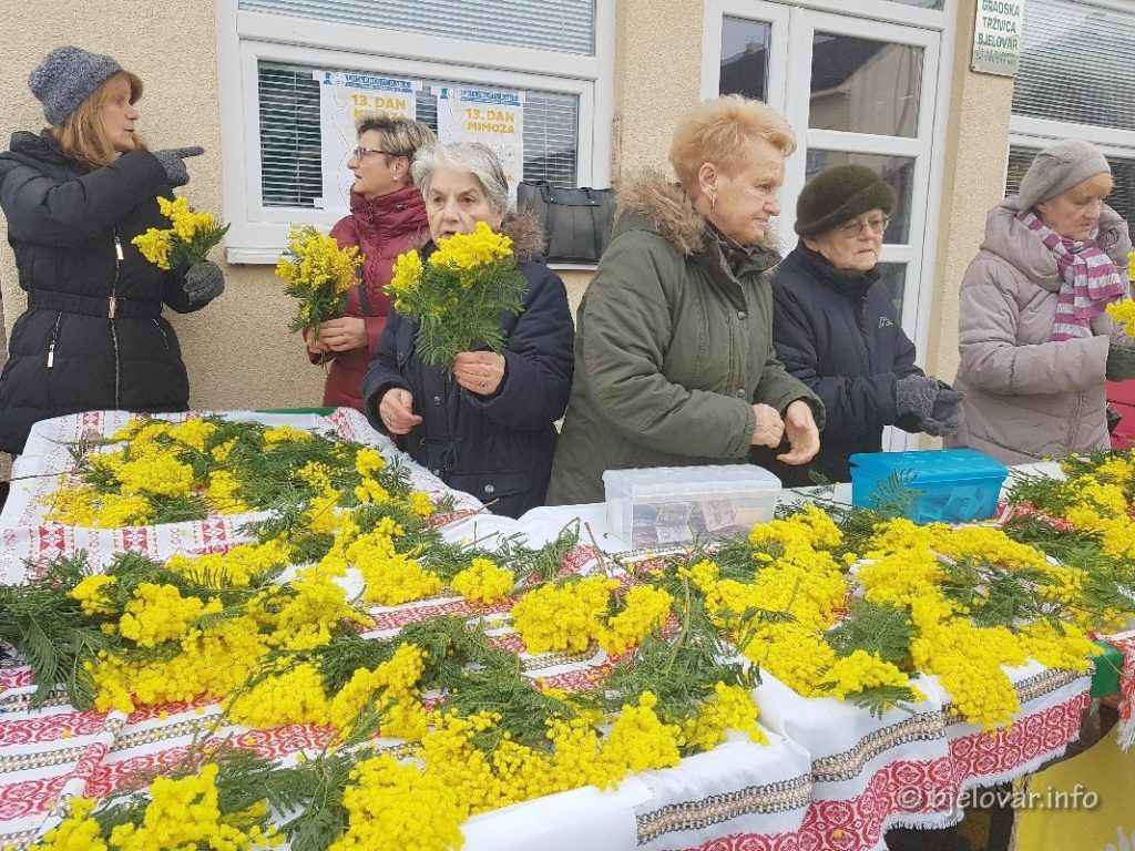 2020 25 1 MIMOZE 11