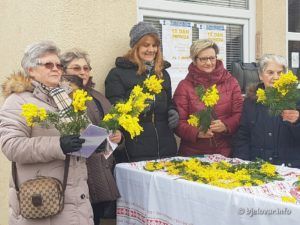 2020 25 1 MIMOZE 26