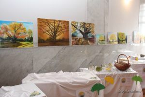 2020 2 7 daruvar 129