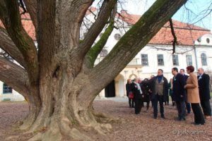 2020 2 7 daruvar 85 1