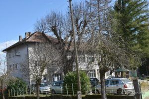 2020 3 6 ivanska 120