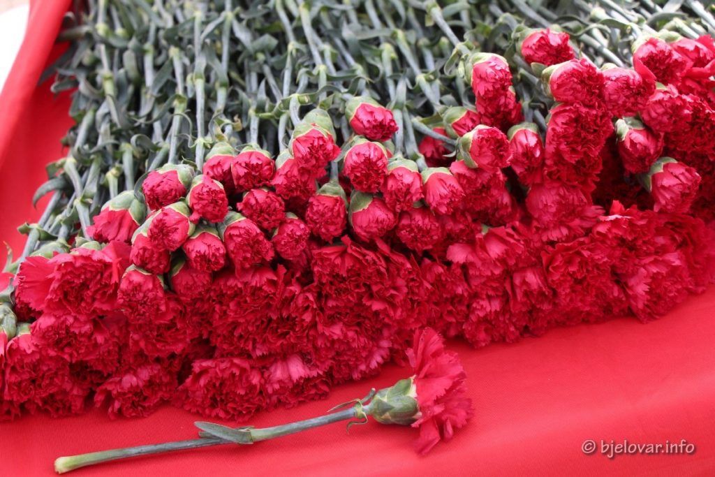 2020 3 7 bjelovar 24