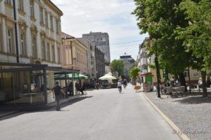 2020 5 11 gudovac 141