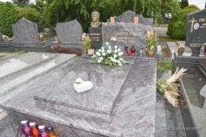 2020 6 06 danica bilić 10