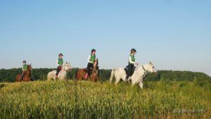 2020 6 17 natjecanje 11