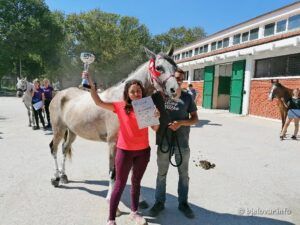 2020 8 30 jahanje 11