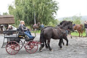 2020 10 17 bilogora 101