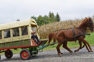 2020 10 17 bilogora 166