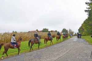 2020 10 17 bilogora 186