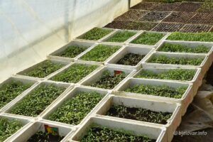 2021 03 08 bjelovar 6