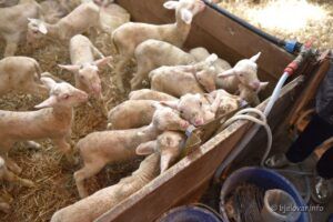 2021 03 22 sjetva 26