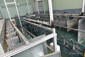 2021 03 22 sjetva 81