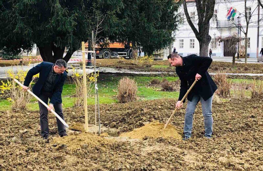 Svjetski dan šuma: U bjelovarskom parku zasađen klon Gupčeve lipe bjelovar 2