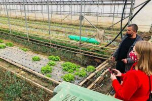 bjelovarski dorucak 11