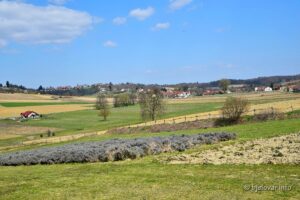 2021 04 01 maglenca 45 1