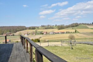 2021 04 01 maglenca 49 1