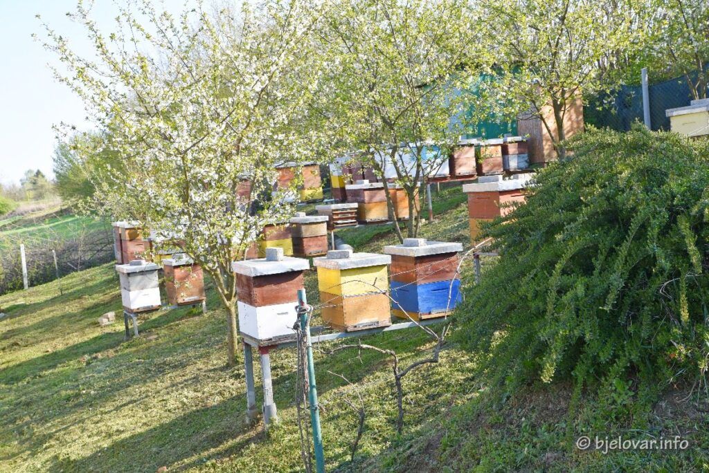 2021 04 16 pcelari 14