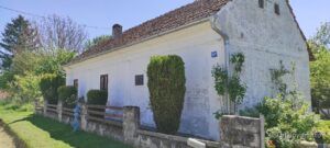 2021 05 04 edo murtic 3