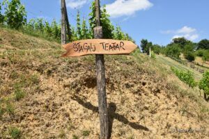 2021 06 25 na malenom brijegu 260