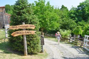 2021 06 25 na malenom brijegu 38