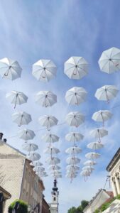 Bjelovar u bijelom 2