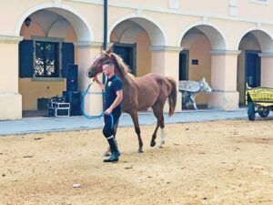 viber image 2021 06 18 22 59 19