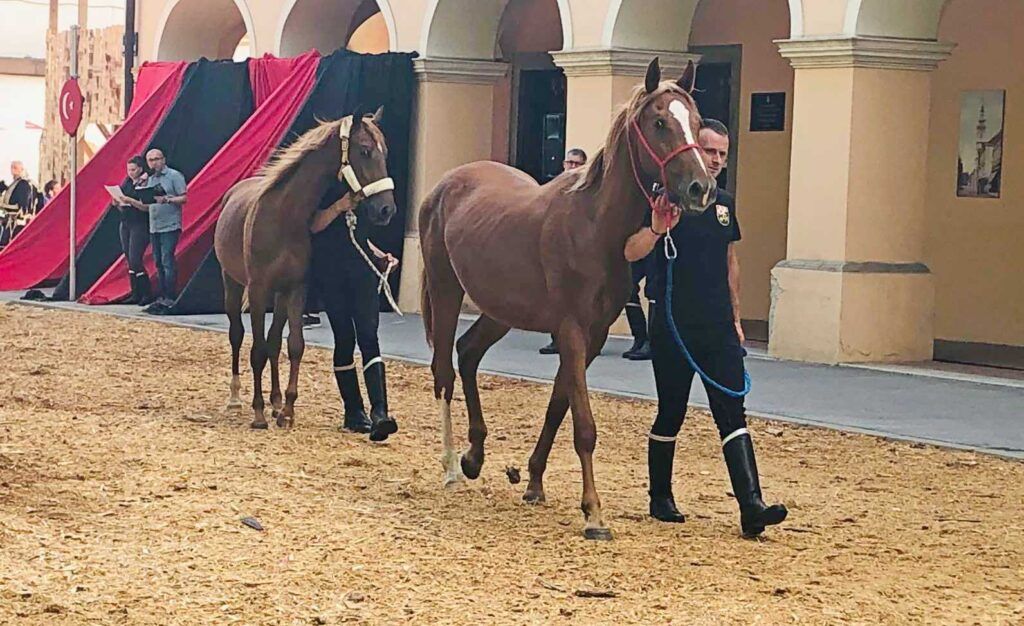 viber image 2021 06 18 23 00 31