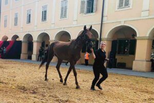 viber image 2021 06 18 23 02 30