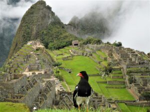 2021 07 03 putopisi 4