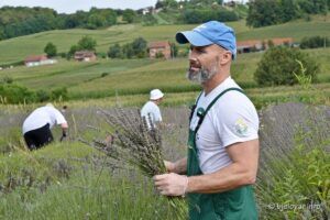 2021 08 04 lavanda 44