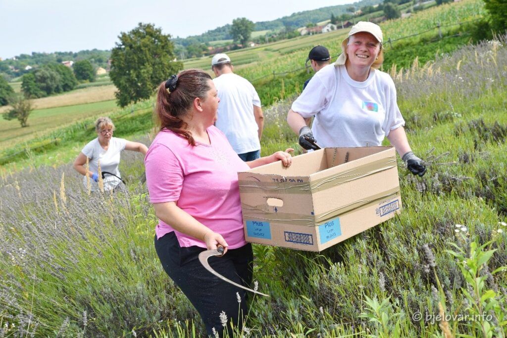 2021 08 04 lavanda 60