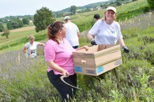 2021 08 04 lavanda 60