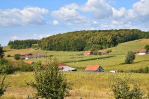 2021 09 22 veliko trojstvo 20