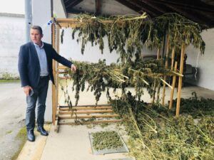 policija marihuana 12