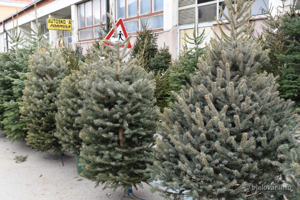 2021 12 23 bozicno drvce 10