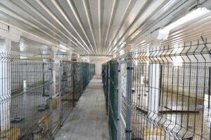 2022 02 09 skloniste za pse 31