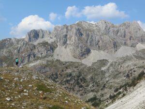 anica markovinovic 3