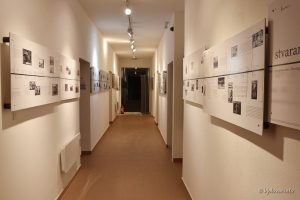 2022 03 12 barutana 31