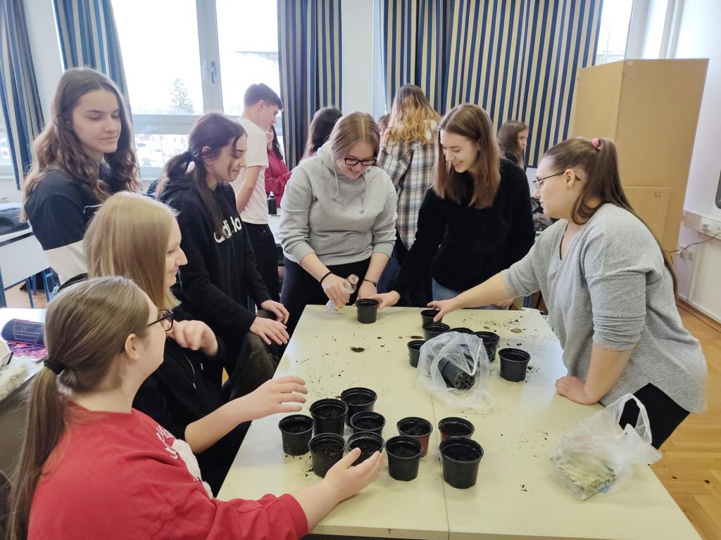 IMG 20220310 WA0005 002