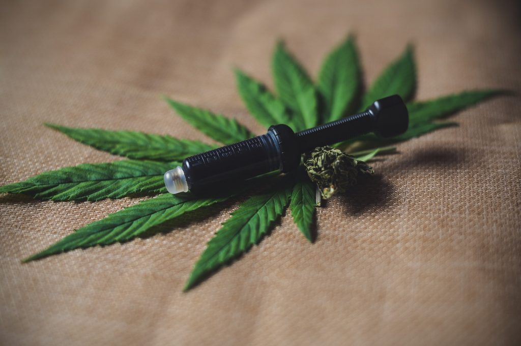 Razlika izmedu CBDa i THCa 002