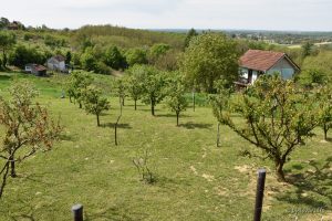 2022 05 02 bjelovar 27