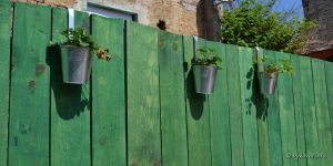 2022 05 11 zeppelin 14