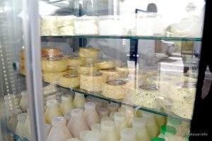 2022 06 24 rovisce 5