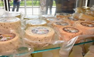 2022 06 24 rovisce 8