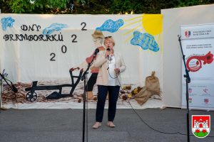 Zamjenica gradonacelnika