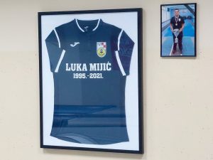 luka mijic 7